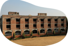 Diploma College in Gandhinagar
